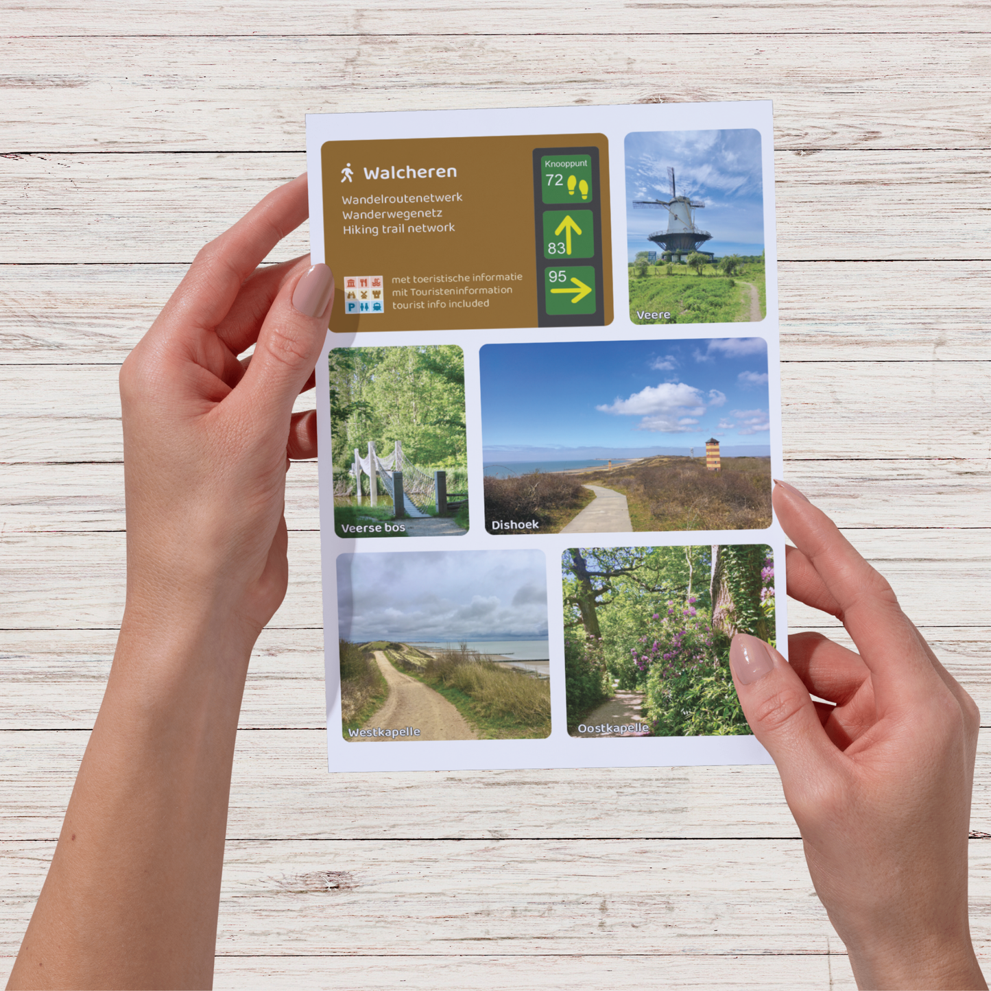 Wandelkaart Walcheren - Wandelroutenetwerk met knooppunten en wandelroutes - Groot formaat