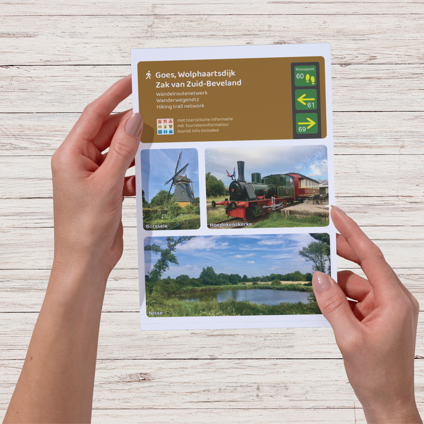 Wandelkaart Goes, Wolphaartsdijk & Zak van Zuid-Beveland - Wandelroutenetwerk met knooppunten en wandelroutes - Groot formaat